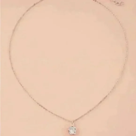 ⚠️Clearance🫧Silver Flower Charm Necklace - Picture 3 of 3